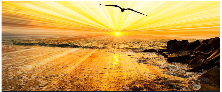 What Is Your Soul Essence