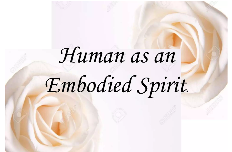 Human – Universal Embodiment